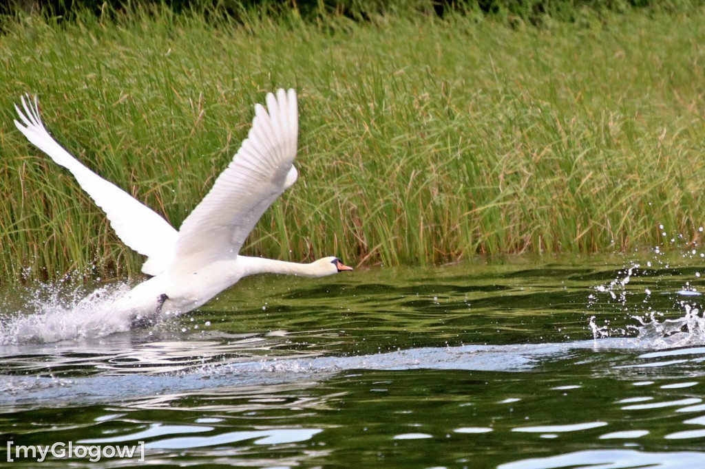 Piękno naszej przyrody