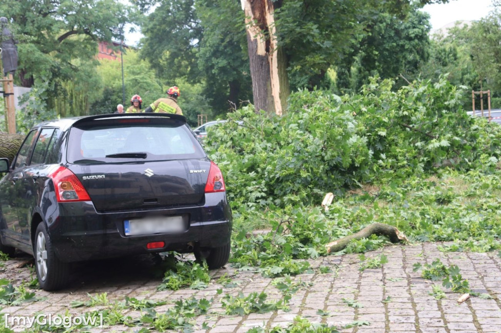 Wichura zniszczyła auta w Głogowie