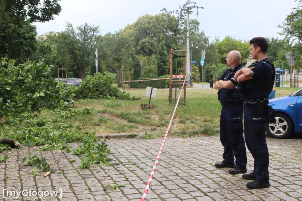 Wichura zniszczyła auta w Głogowie