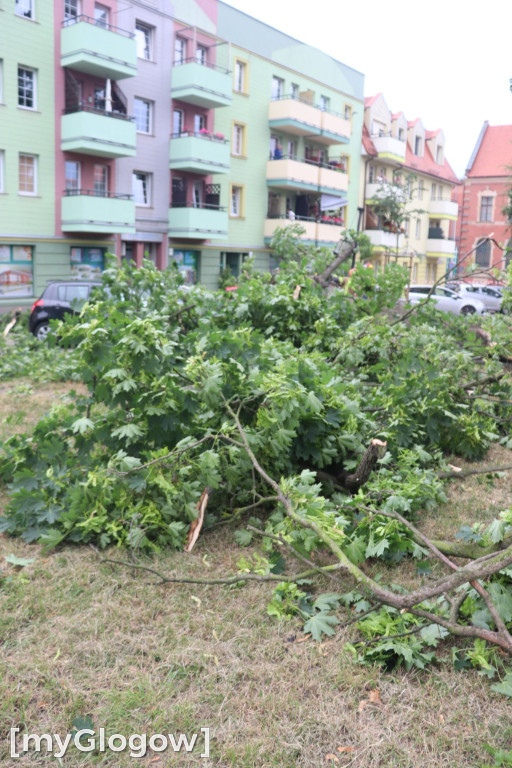 Wichura zniszczyła auta w Głogowie
