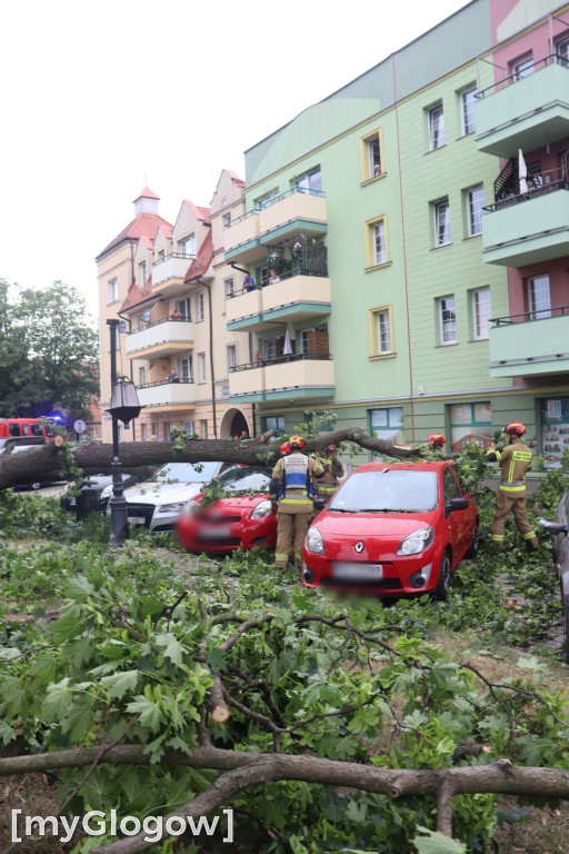 Wichura zniszczyła auta w Głogowie