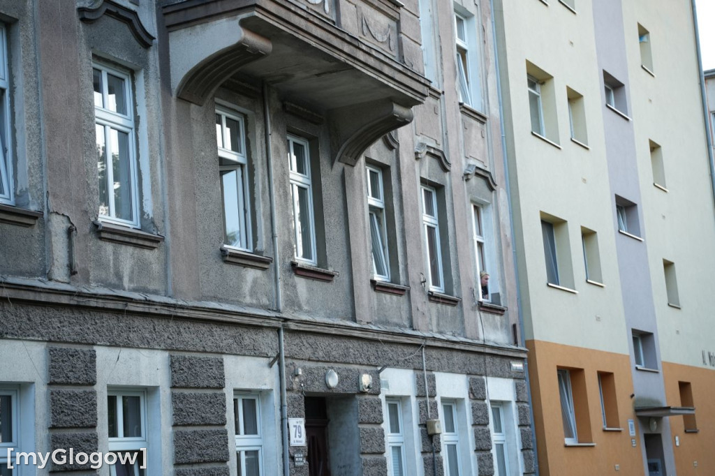Bójka na Wolności