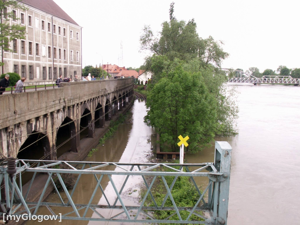 Powódź Tysiąclecia w Głogowie