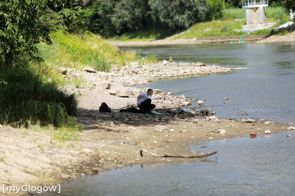 Pomost nad Odrą prawie gotowy