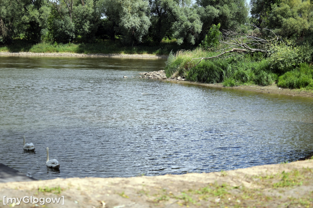 Pomost nad Odrą prawie gotowy