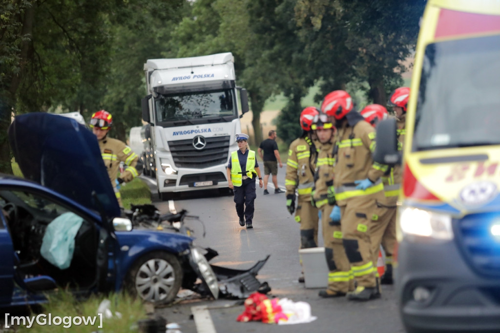 Wypadek pod Głogowem, są poszkodowani