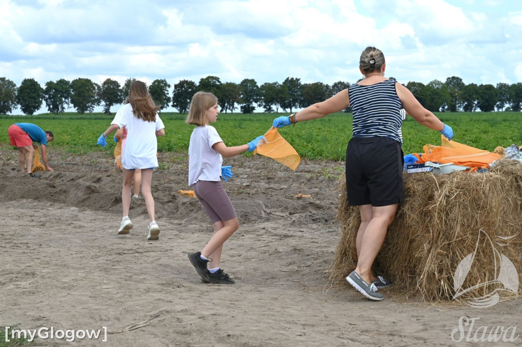 Akcja się udała! Całe rodziny na wykopkach