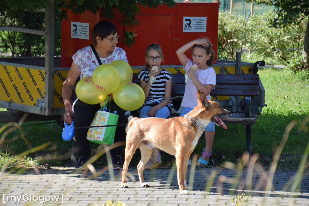 Festyn Stara Zagroda na Koperniku w Głogowie
