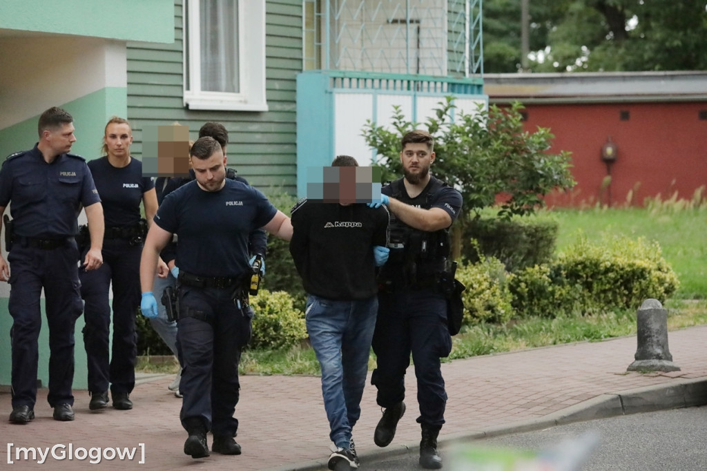Akcja w Głogowie. Cztery radiowozy i karetka