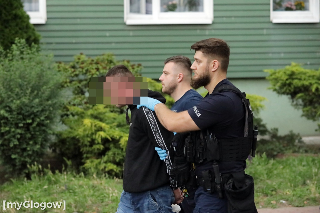 Akcja w Głogowie. Cztery radiowozy i karetka