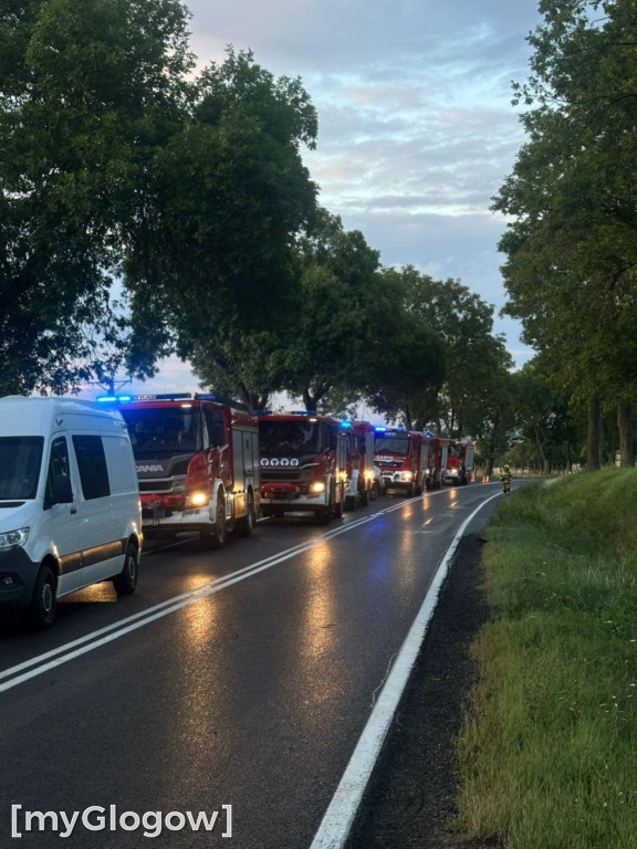 Wypadek DK 12
