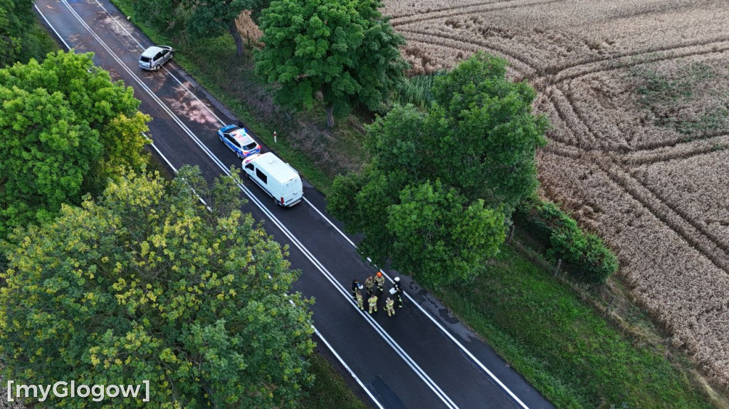 Wypadek DK 12
