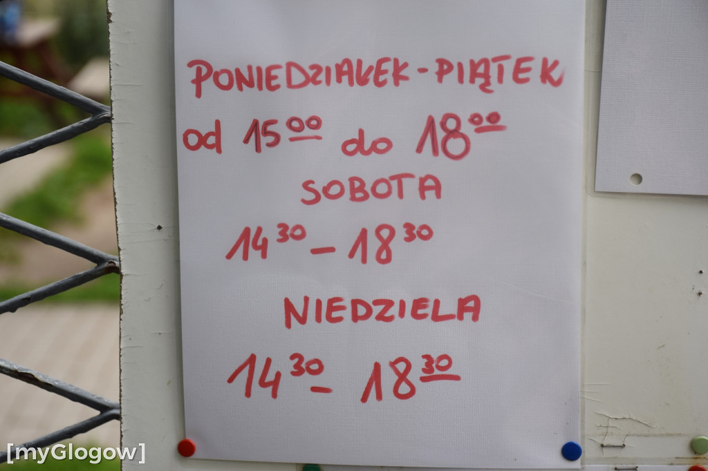 Kociarnia w miejskim schronisku w Głogowie