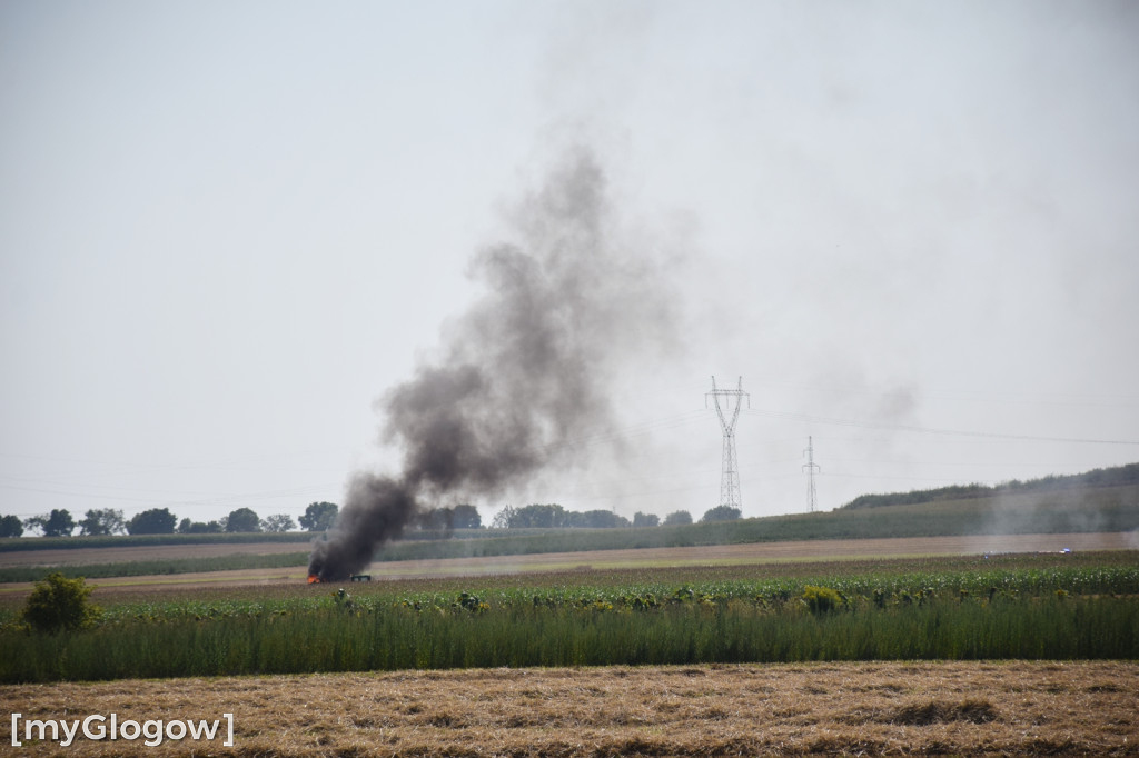 Pożar na polu w Słonem pod Głogowem