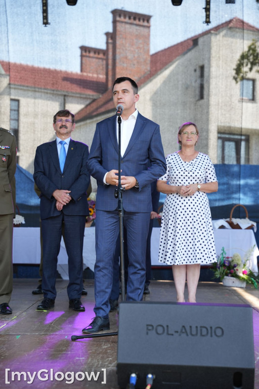 W cieniu kolegiaty