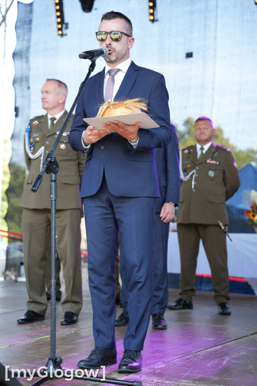 W cieniu kolegiaty