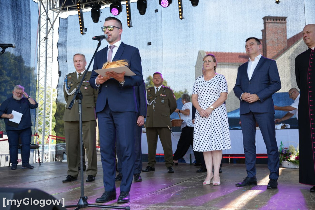 W cieniu kolegiaty