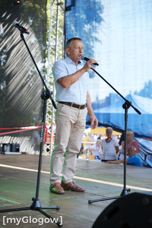 W cieniu kolegiaty