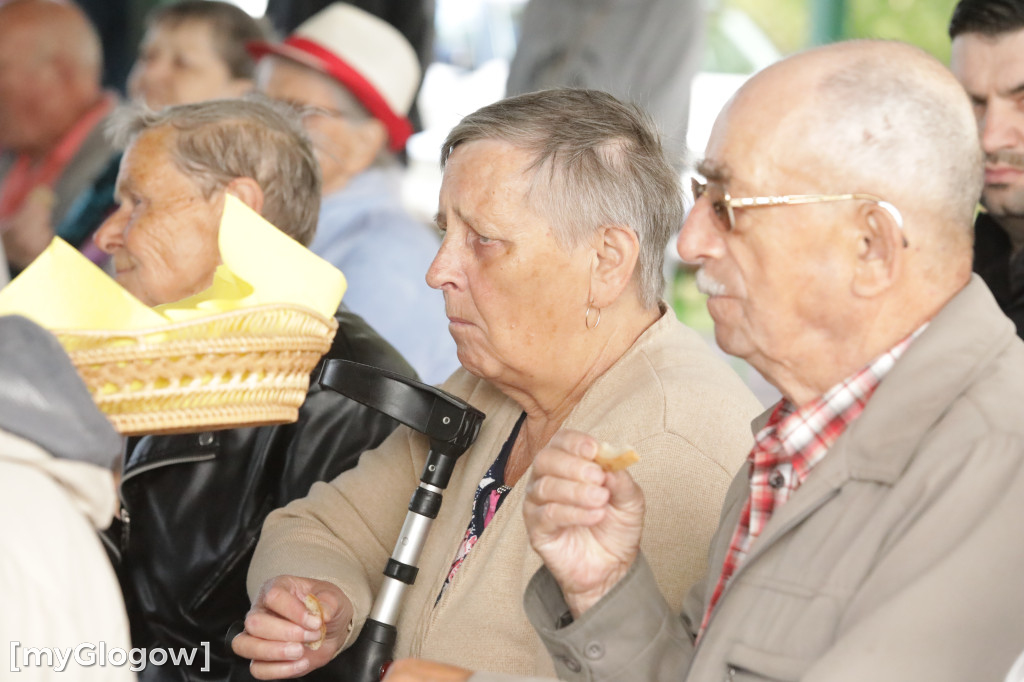 Na działkach w Kulowie nagrody i wyróżnienia