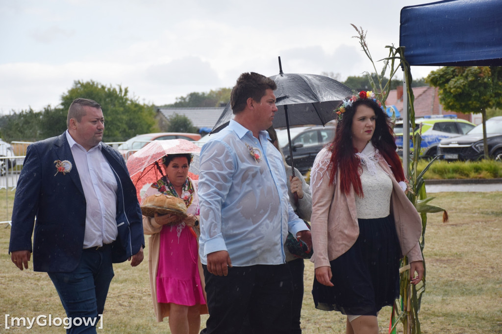 Dożynki w Jerzmanowej pod Głogowem