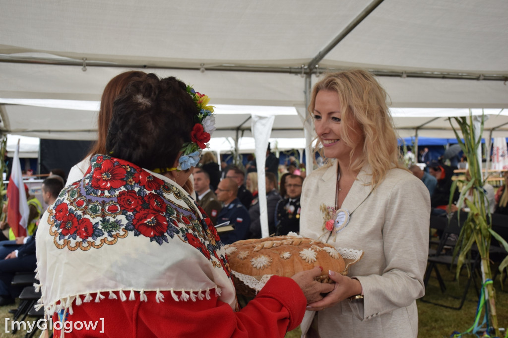 Dożynki w Jerzmanowej pod Głogowem