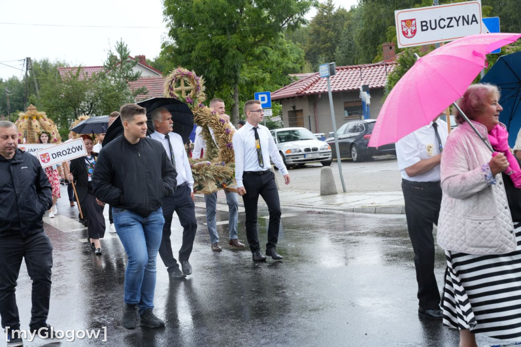 Dożynki w Radwanicach