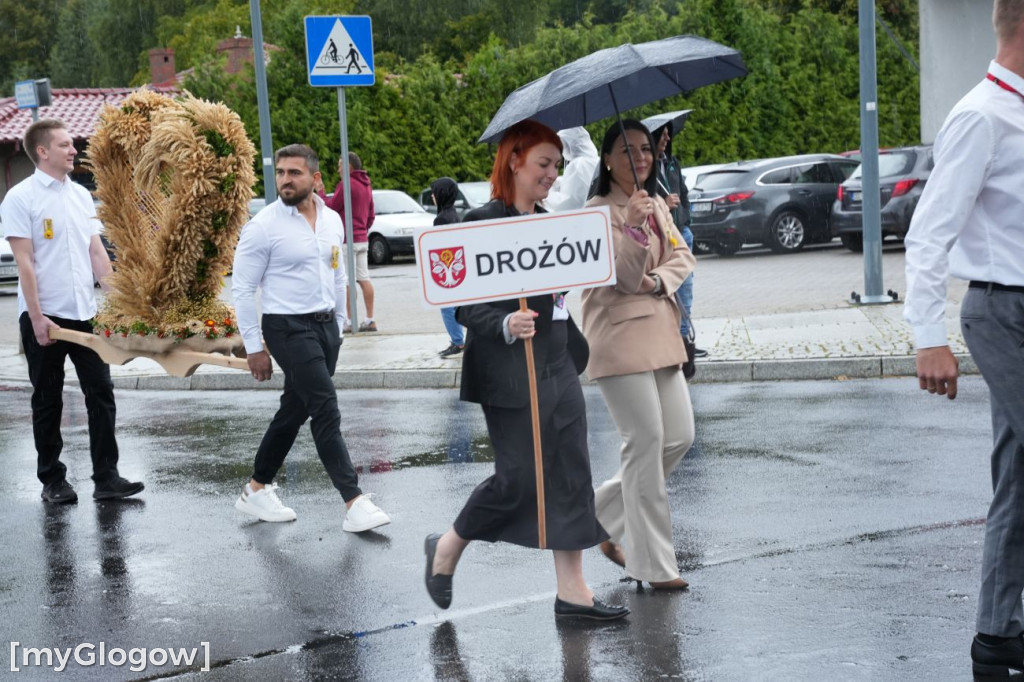 Dożynki w Radwanicach