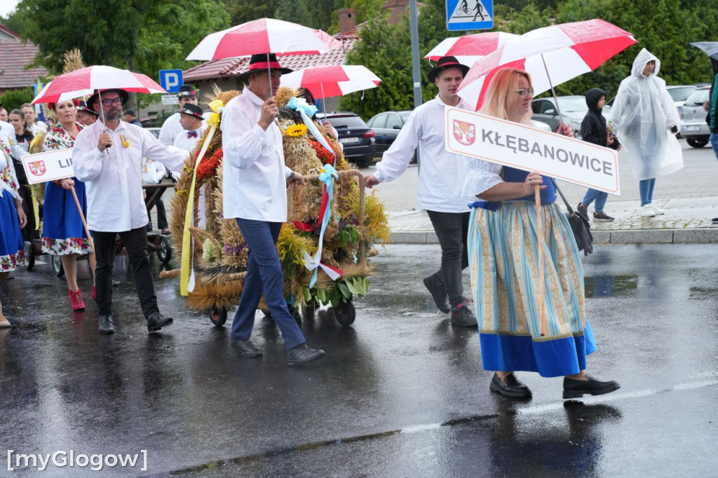 Dożynki w Radwanicach