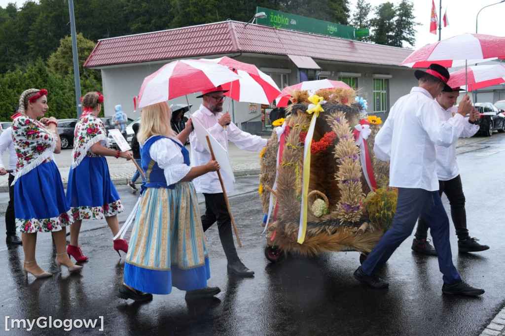 Dożynki w Radwanicach