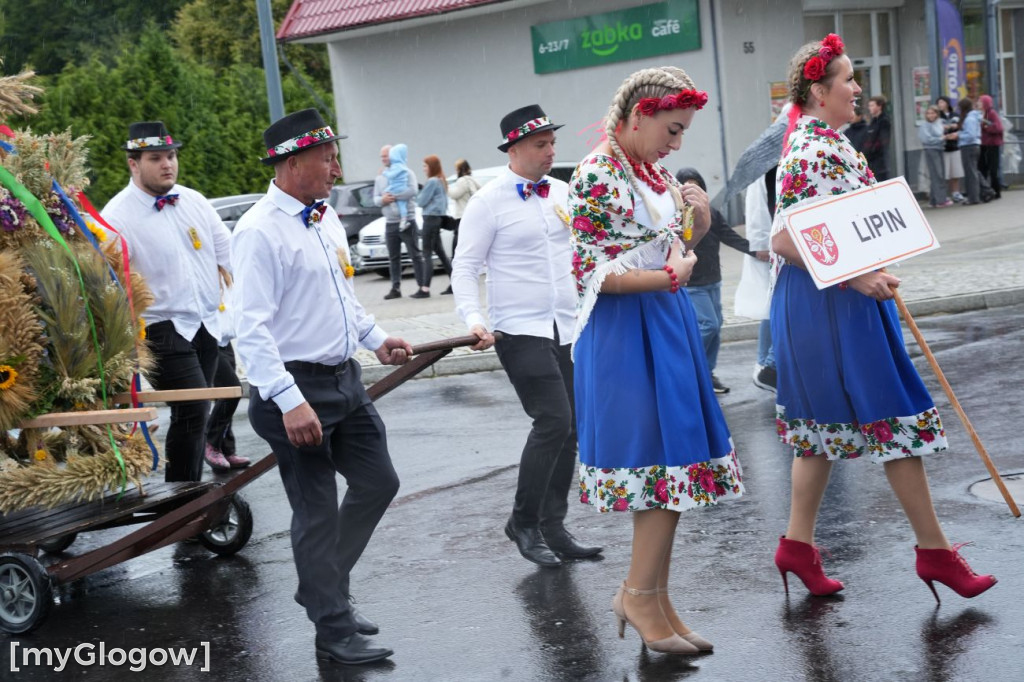 Dożynki w Radwanicach