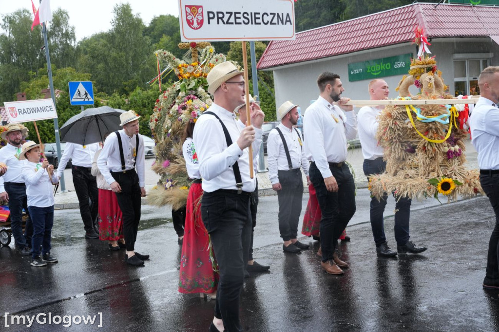 Dożynki w Radwanicach