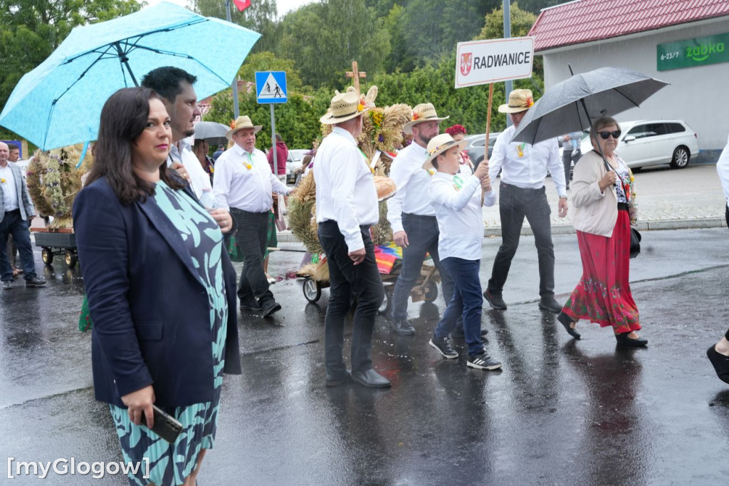 Dożynki w Radwanicach
