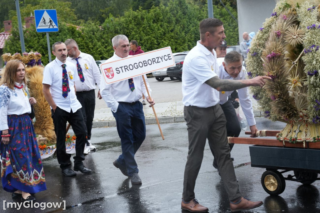 Dożynki w Radwanicach