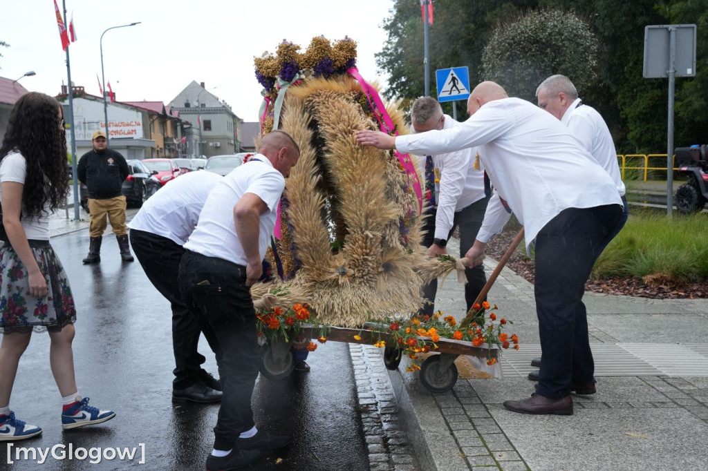 Dożynki w Radwanicach
