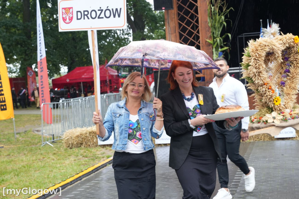 Dożynki w Radwanicach
