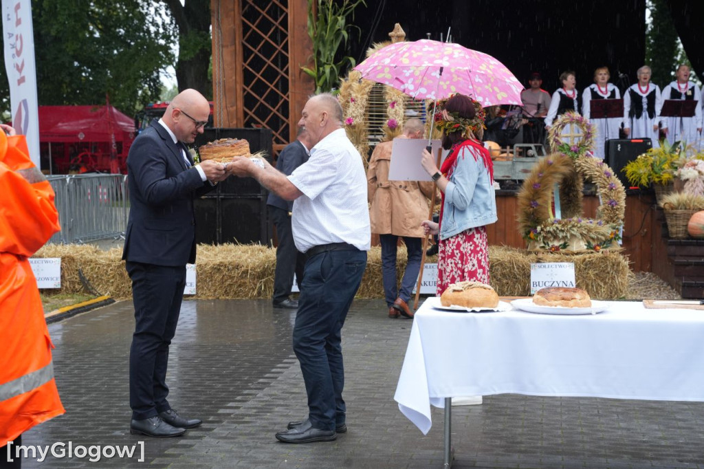 Dożynki w Radwanicach