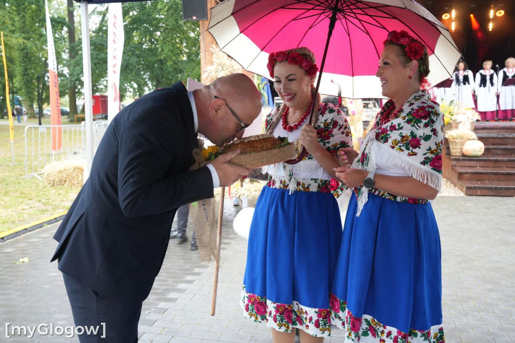 Dożynki w Radwanicach
