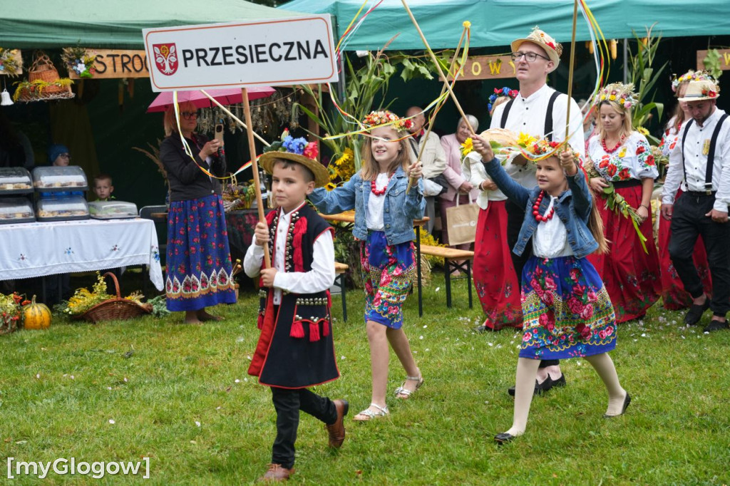 Dożynki w Radwanicach