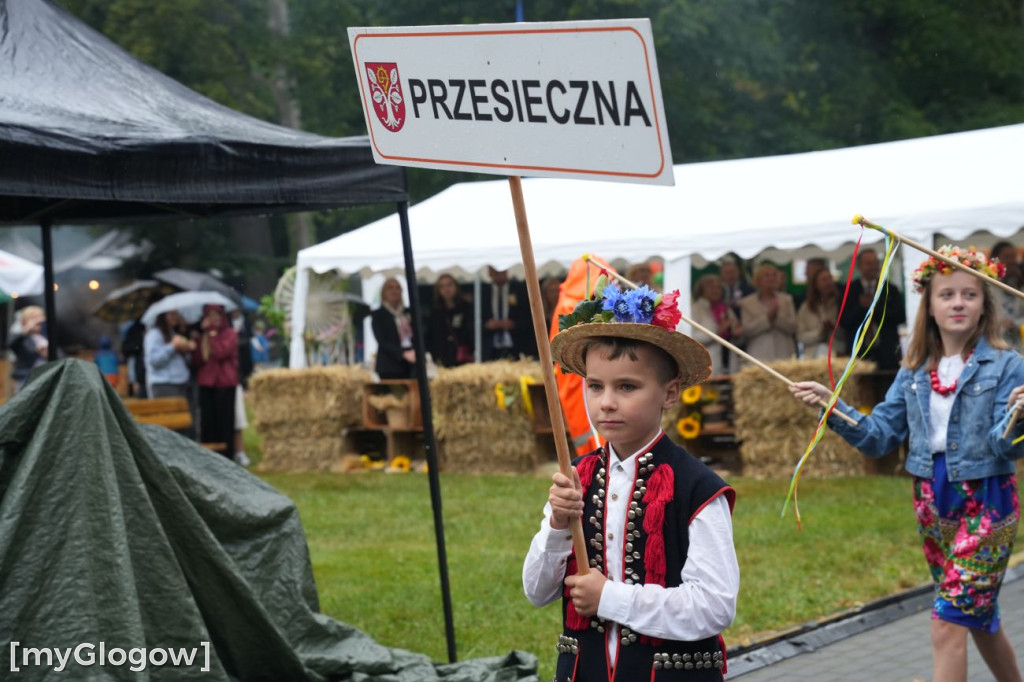 Dożynki w Radwanicach