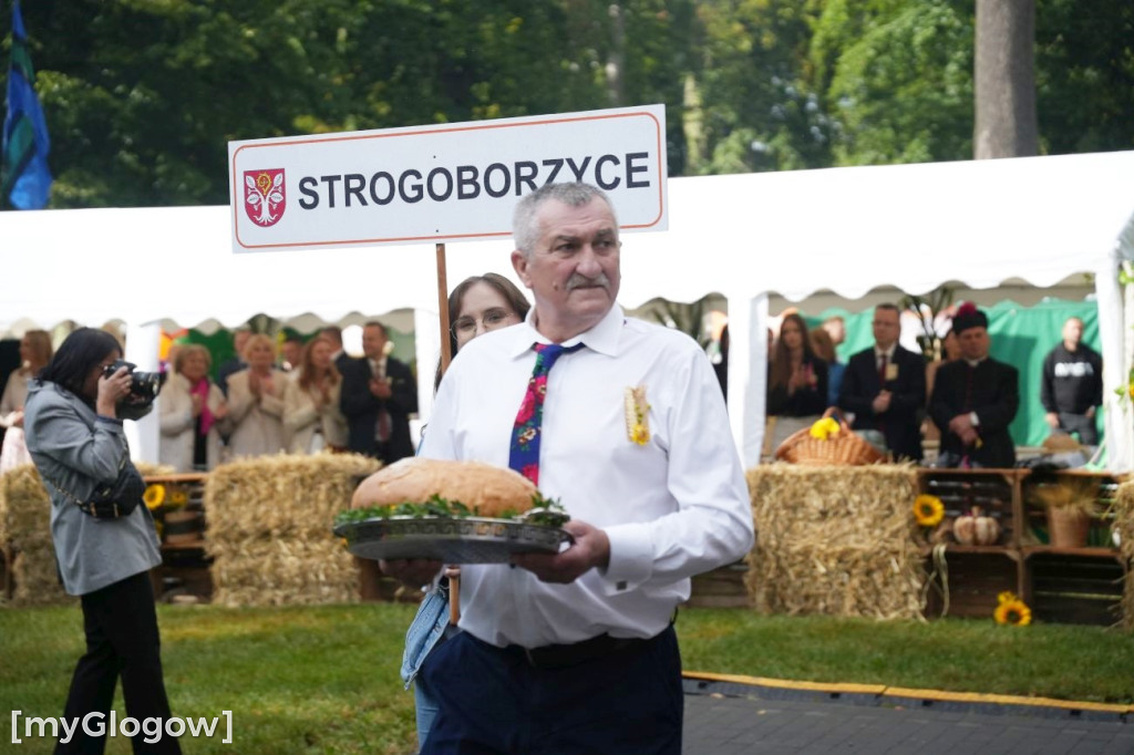 Dożynki w Radwanicach