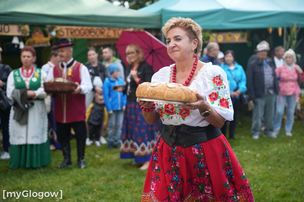 Dożynki w Radwanicach