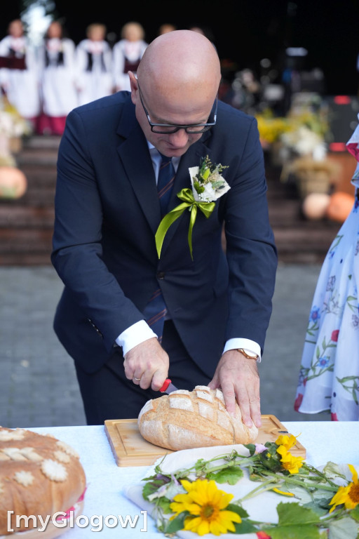 Dożynki w Radwanicach