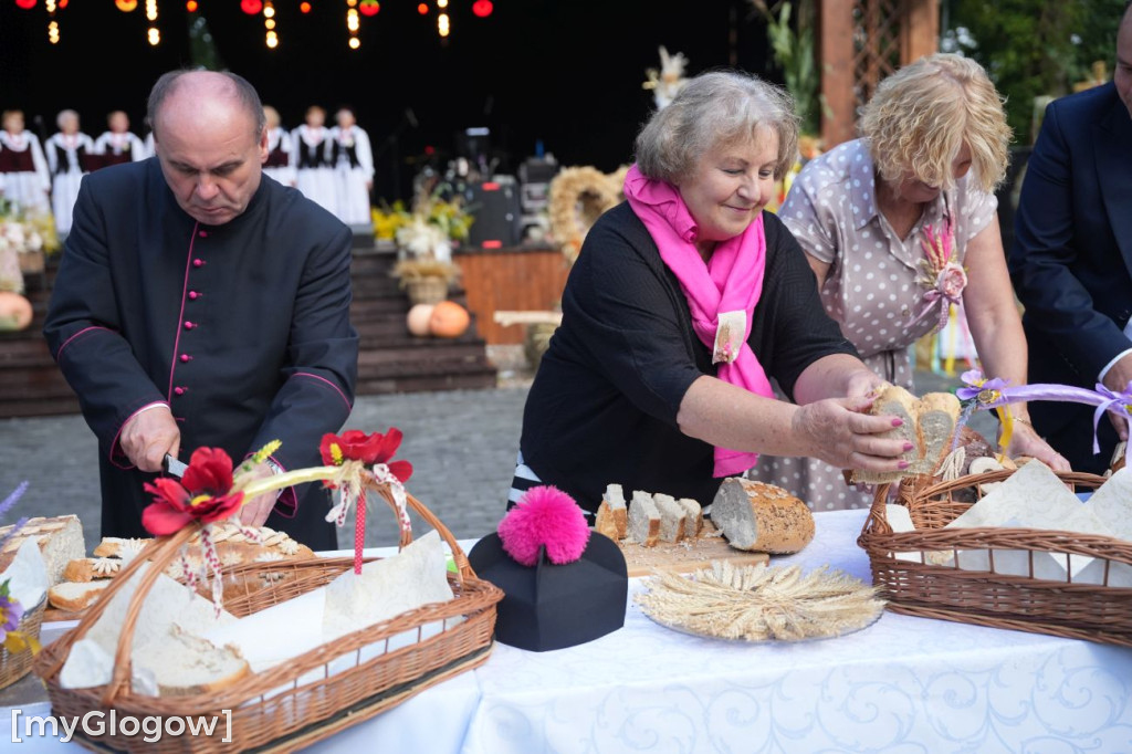 Dożynki w Radwanicach
