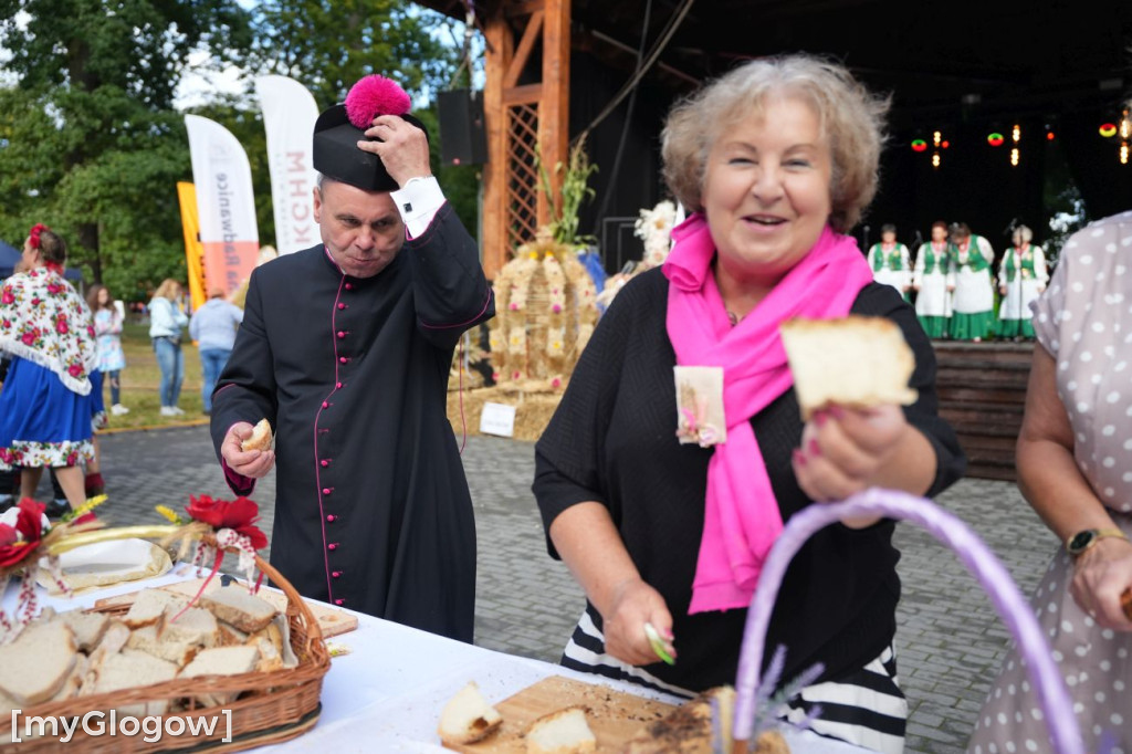 Dożynki w Radwanicach