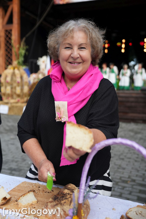 Dożynki w Radwanicach