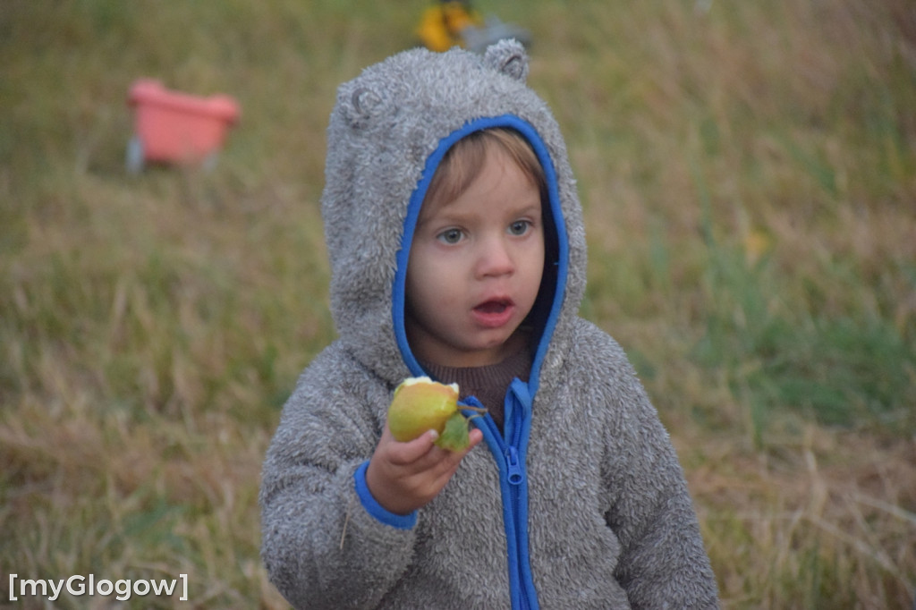 Family Camp nad Odrą