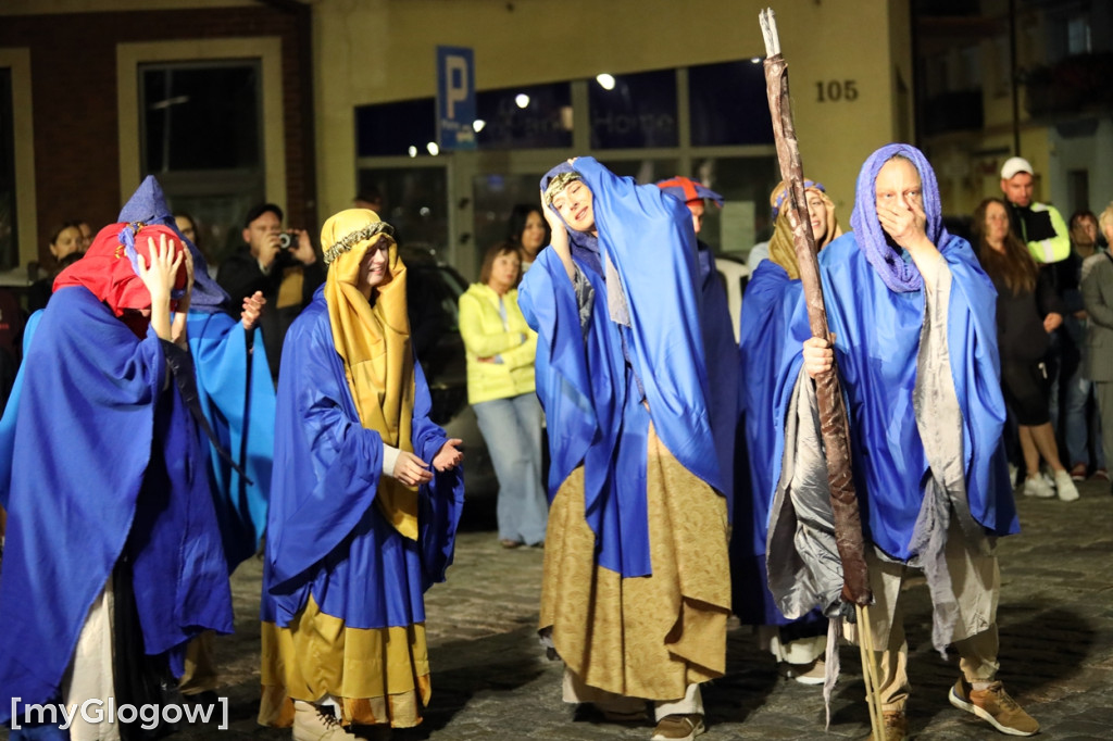 BOLEZLAVUS. Kroniki, artefakty, haplogrupy