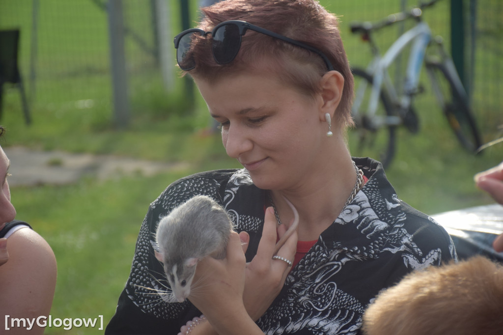 Kolacja i potańcówka w Potoczku pod Głogowem