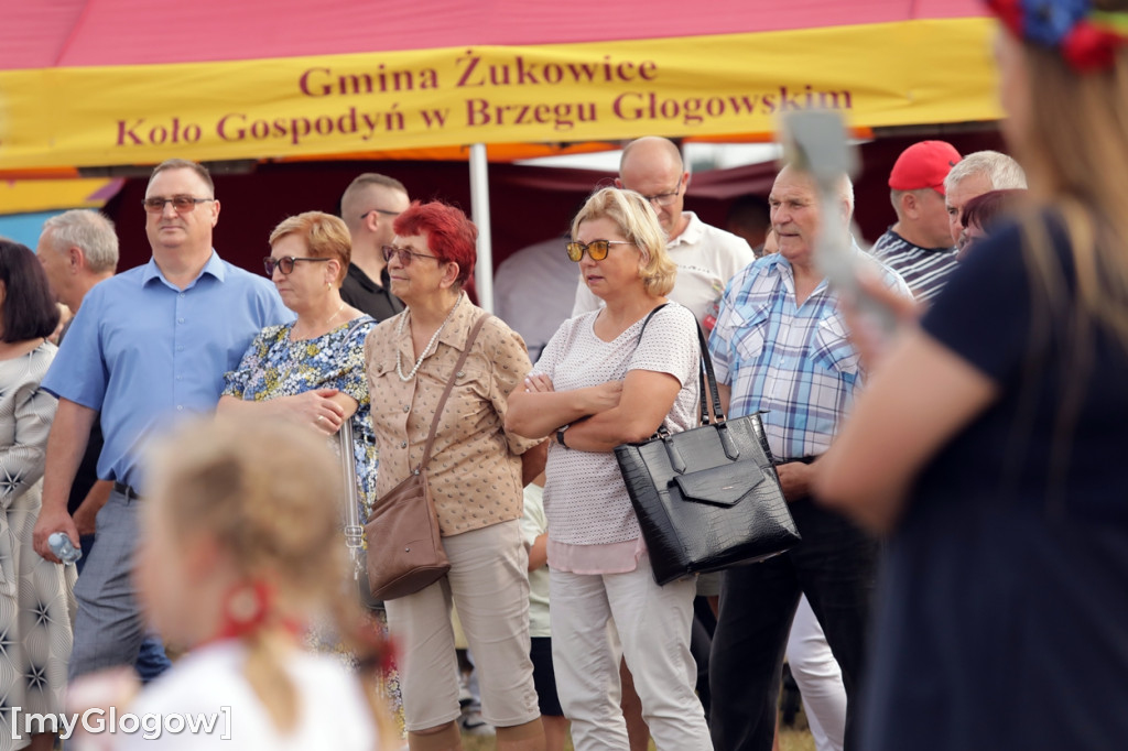 Ale wójt potańczył! Świetna zabawa na dożynkach
