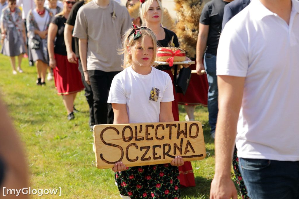 Ale wójt potańczył! Świetna zabawa na dożynkach